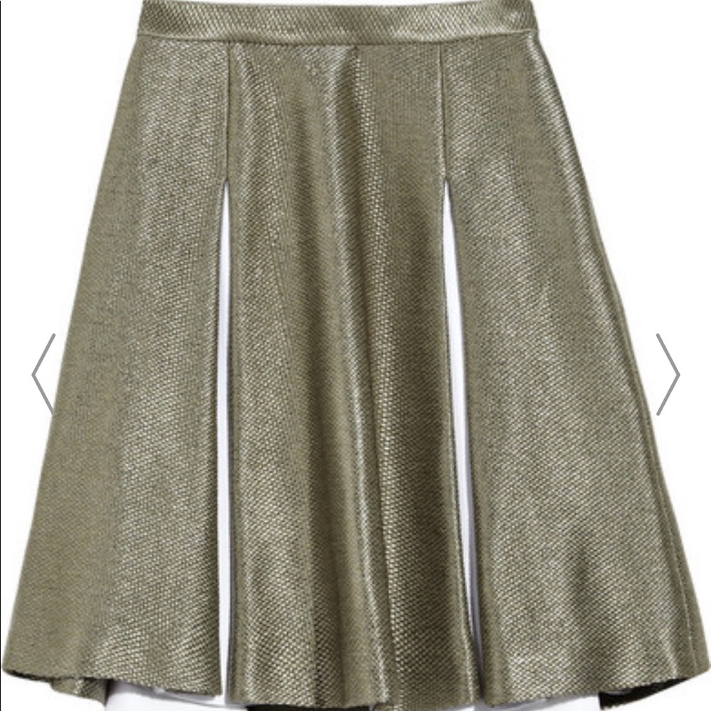 Jonathan Saunders Hollis Pleated Silk Skirt 36